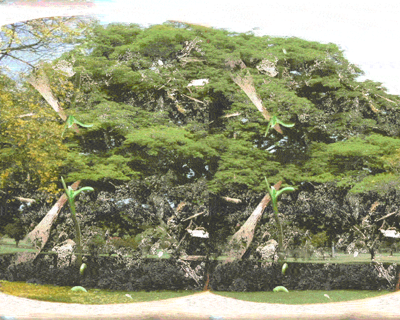 Joy Of Humans — netart environment (Seeds)